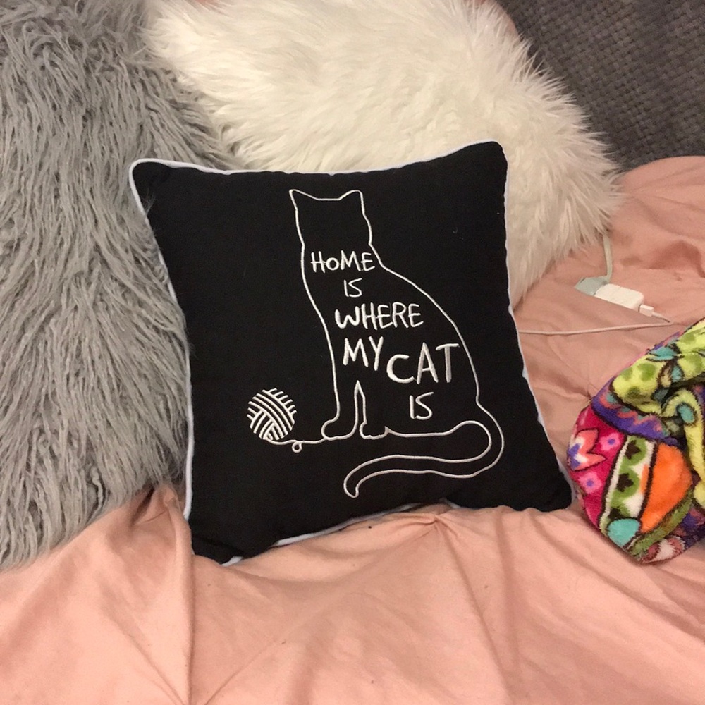 Cat pillow